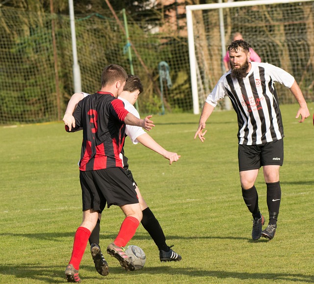 要的犯规 要的犯规